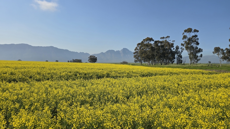 Commercial Property for Sale in Wellington Rural Western Cape